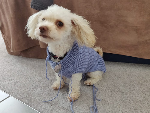 Knitting Machine Dog Sweater: Easy Patterns for Your Pup! Make a Cozy Sweater with Your Knitting Machine in No Time!