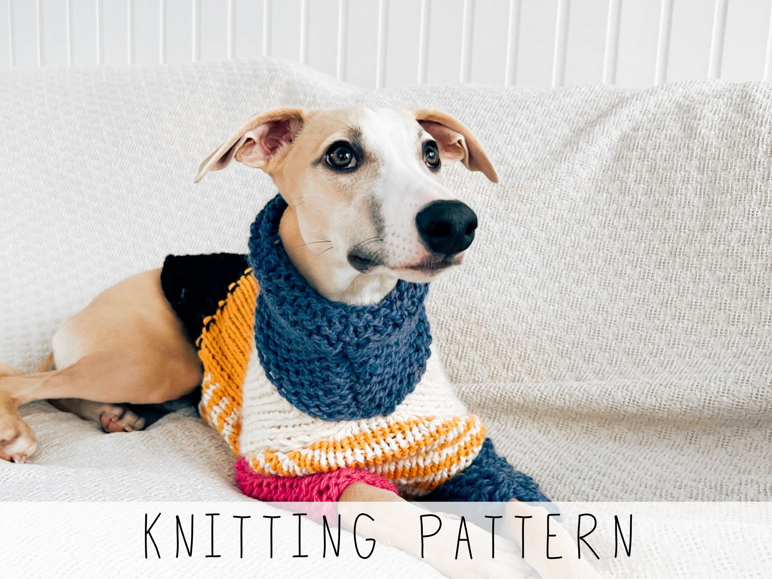 Best Machine Knit Dog Sweater Pattern (Find the Perfect Pattern Style for Small, Medium and Large Dogs)